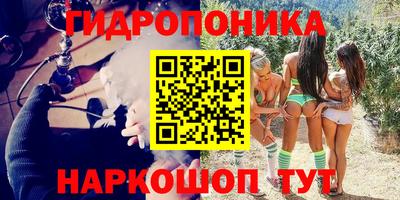 герыч Кингисепп