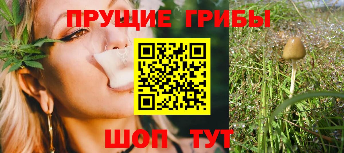 Псилоцибиновые грибы GOLDEN TEACHER Чапаевск
