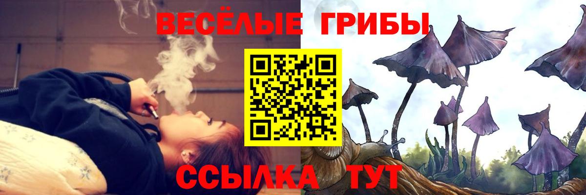 Чапаевск  Галлюциногенные грибы Psilocybe  где купить   Вход с VPN 